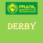 Derby